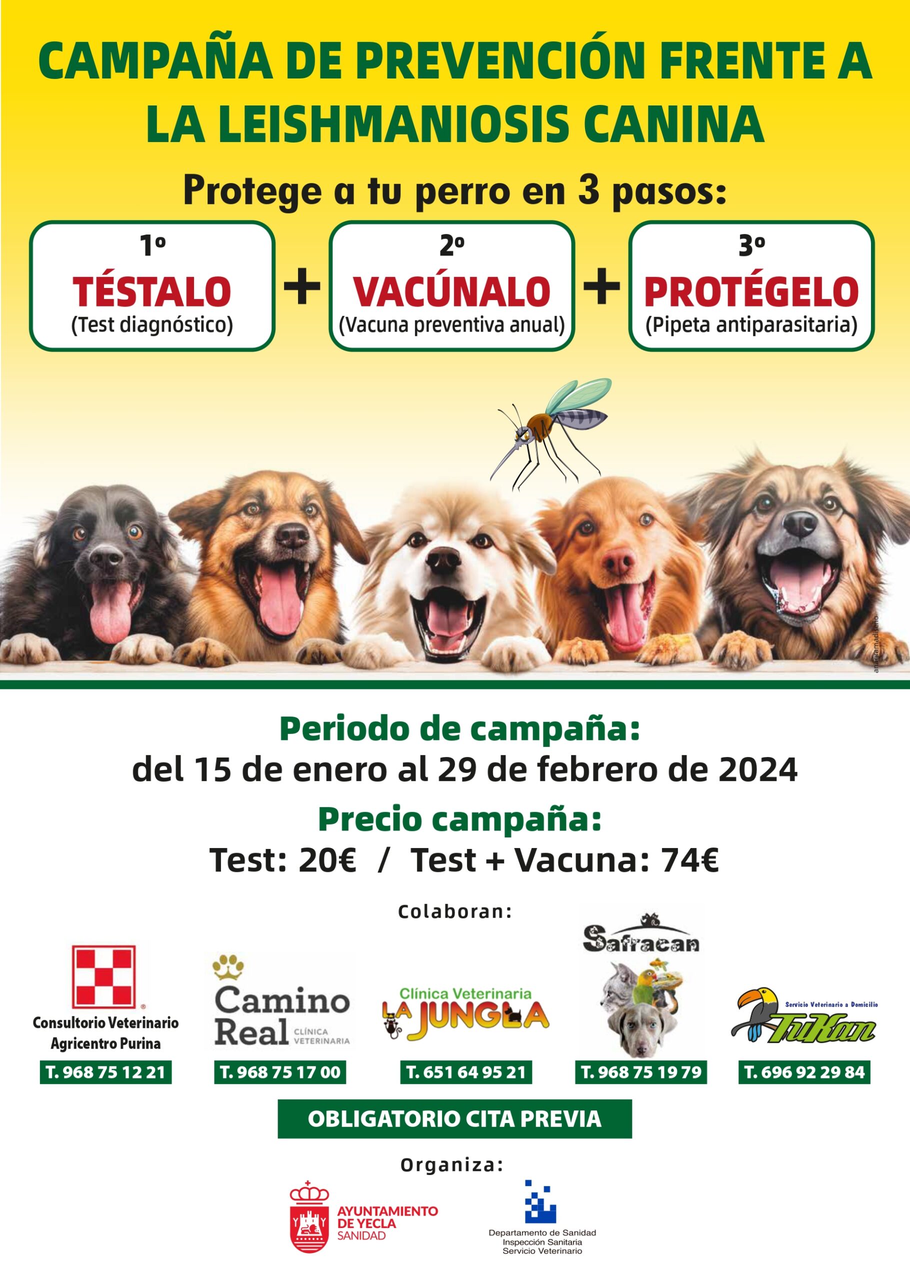 Protege a tu perro contra la leishmaniosis canina. La campaña se extiende hasta el 29 de febrero.